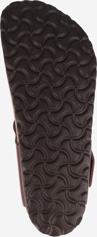 Tongs 'Gizeh' BIRKENSTOCK en marron