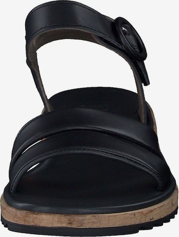 Sandales à lanières Paul Green en noir