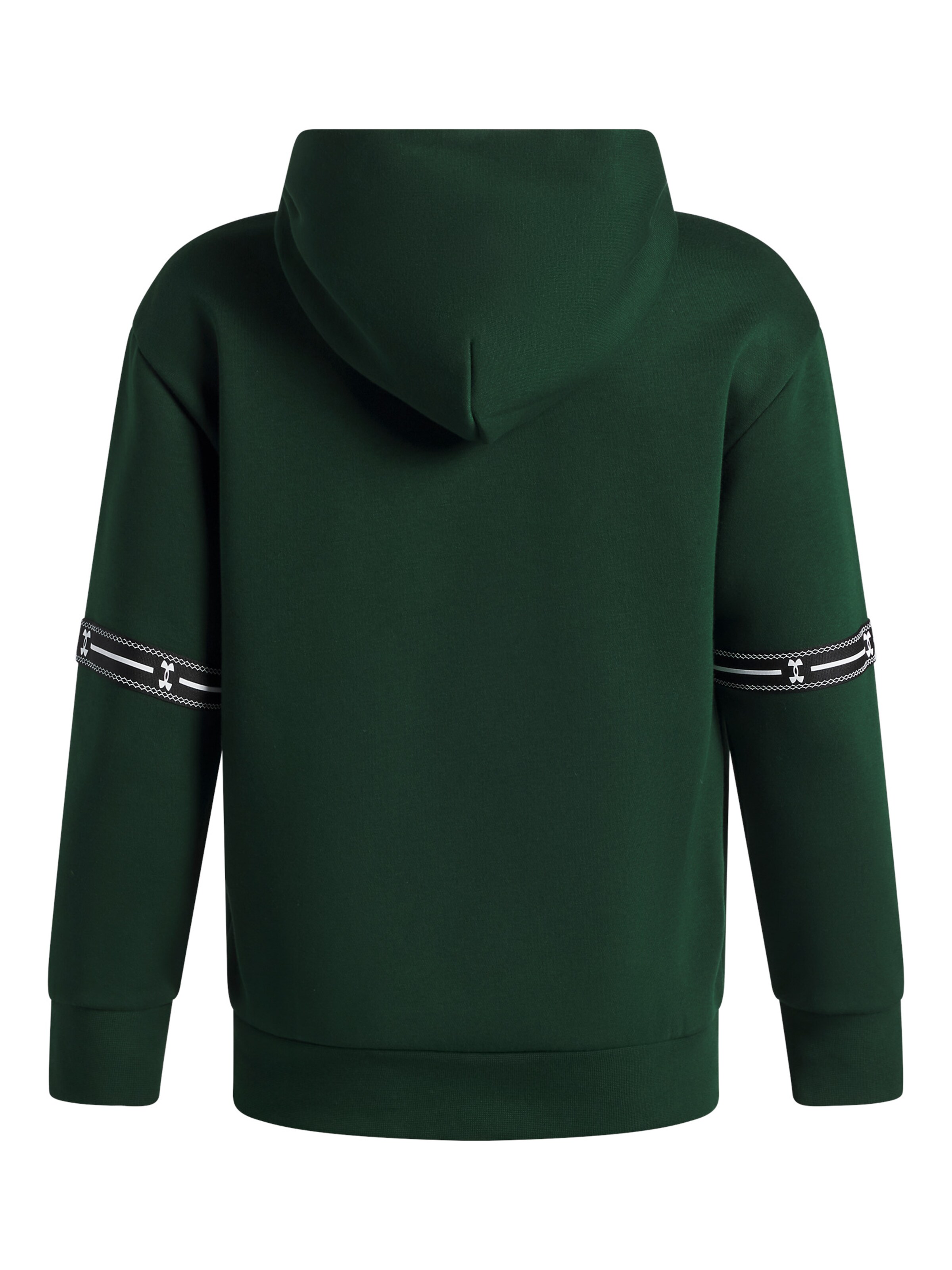 UNDER ARMOUR Sports sweatshirt 'Icon Flc' in Green
