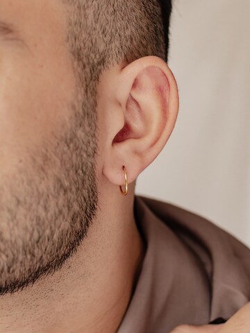 Hey Happiness Earring 'Basic Hoop' in Gold: front