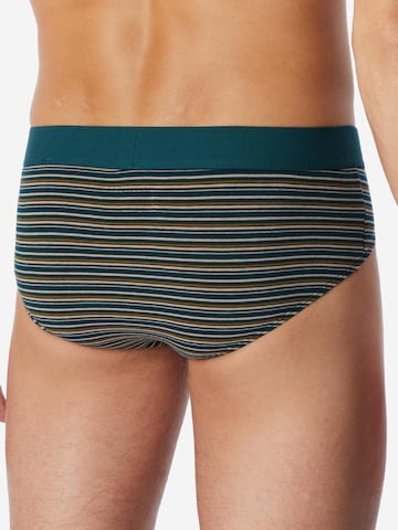 SCHIESSER Slip '95/5 Cotton' in Gemengde kleuren