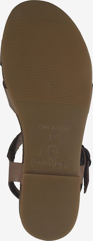COSMOS COMFORT Strap Sandals in Brown