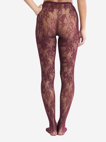 ETAM Panty's 'ORPHEE' in Rood