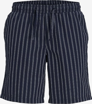 Pantaloni 'Aiden Palma' di JACK & JONES in blu: frontale