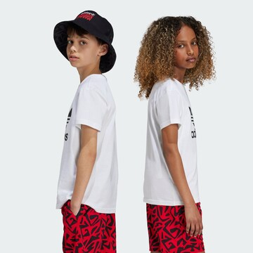 ADIDAS ORIGINALS T-shirt 'Trefoil' i vit