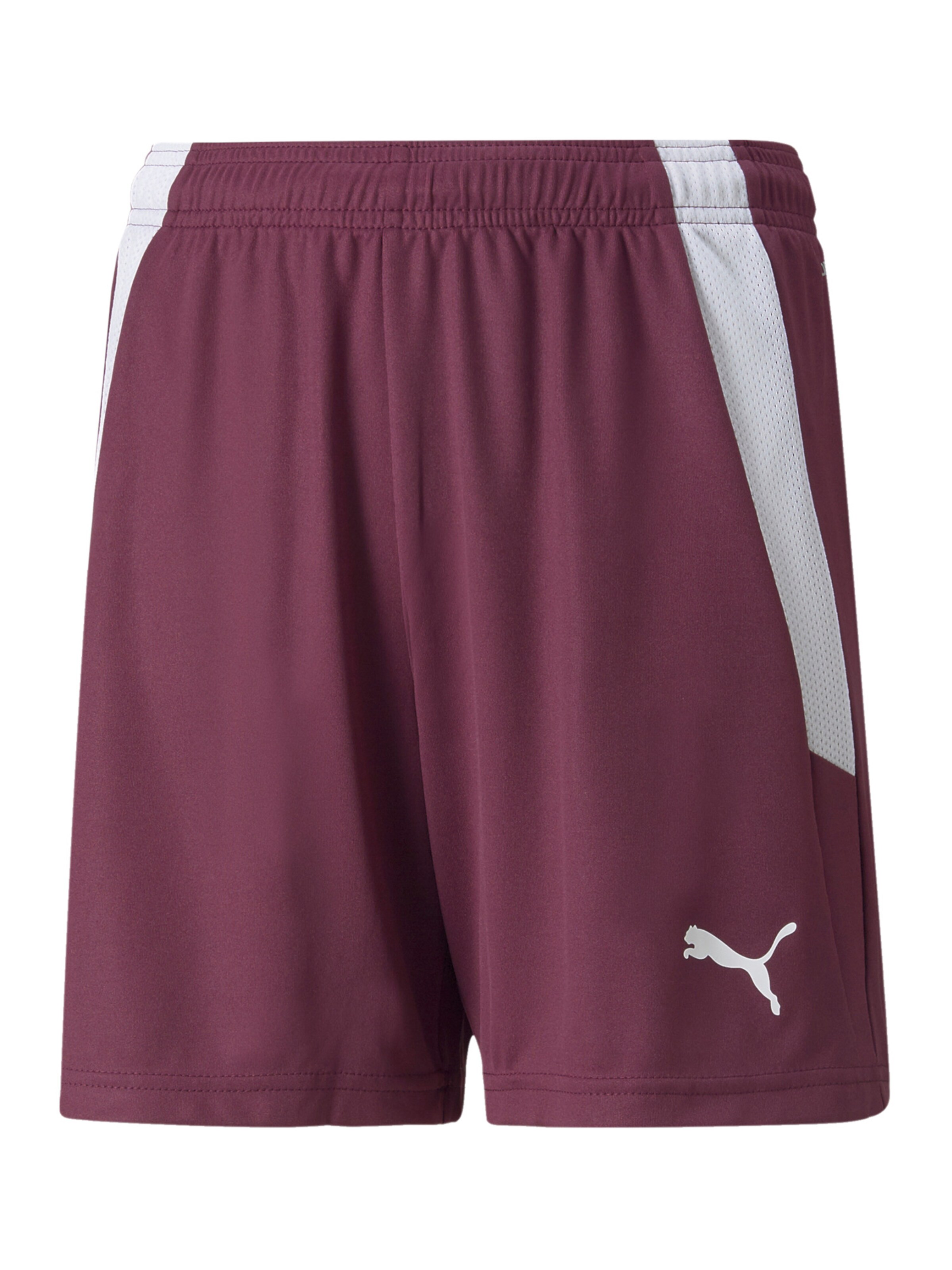 PUMA Workout Pants 'TeamLiga' in Purple: front