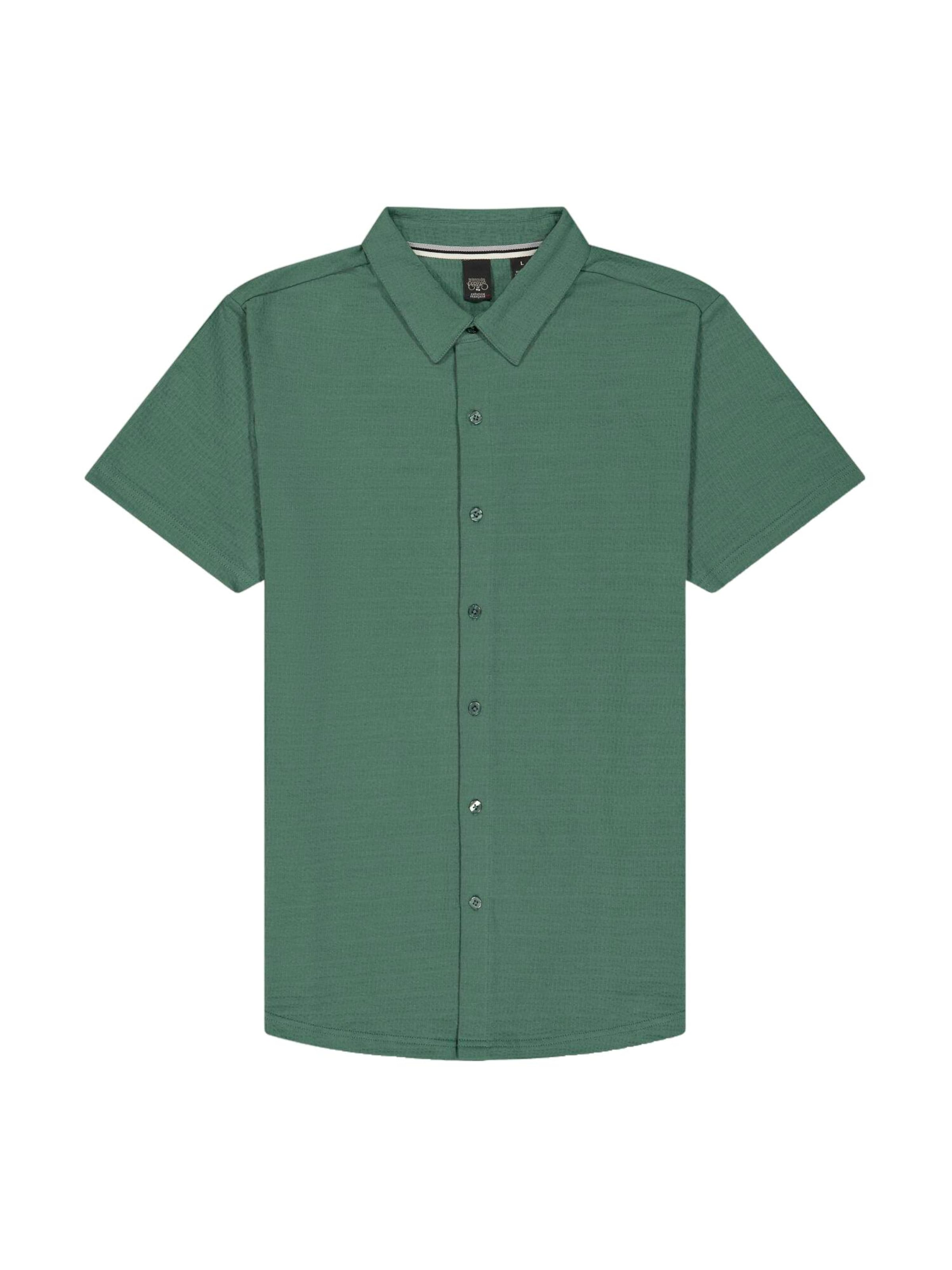 Coupe regular Chemise 'JAPA ' Le Temps Des Cerises en vert : devant