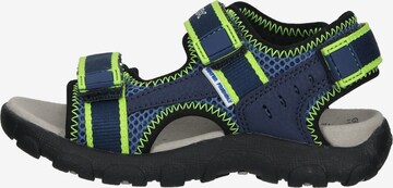 GEOX Open schoenen in Blauw