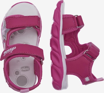 CHICCO Sandalen 'Cicala' in Roze
