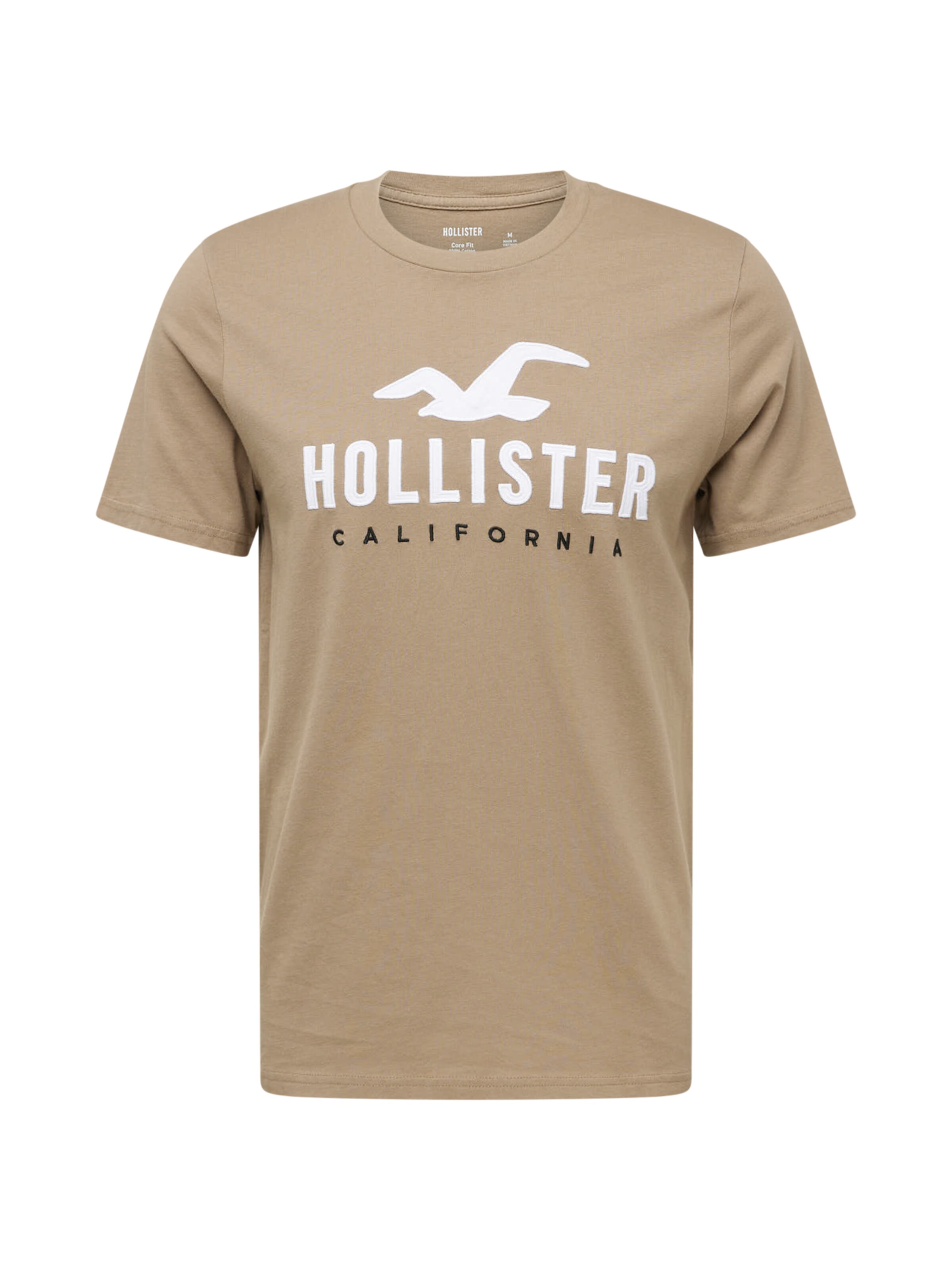 hollister about
