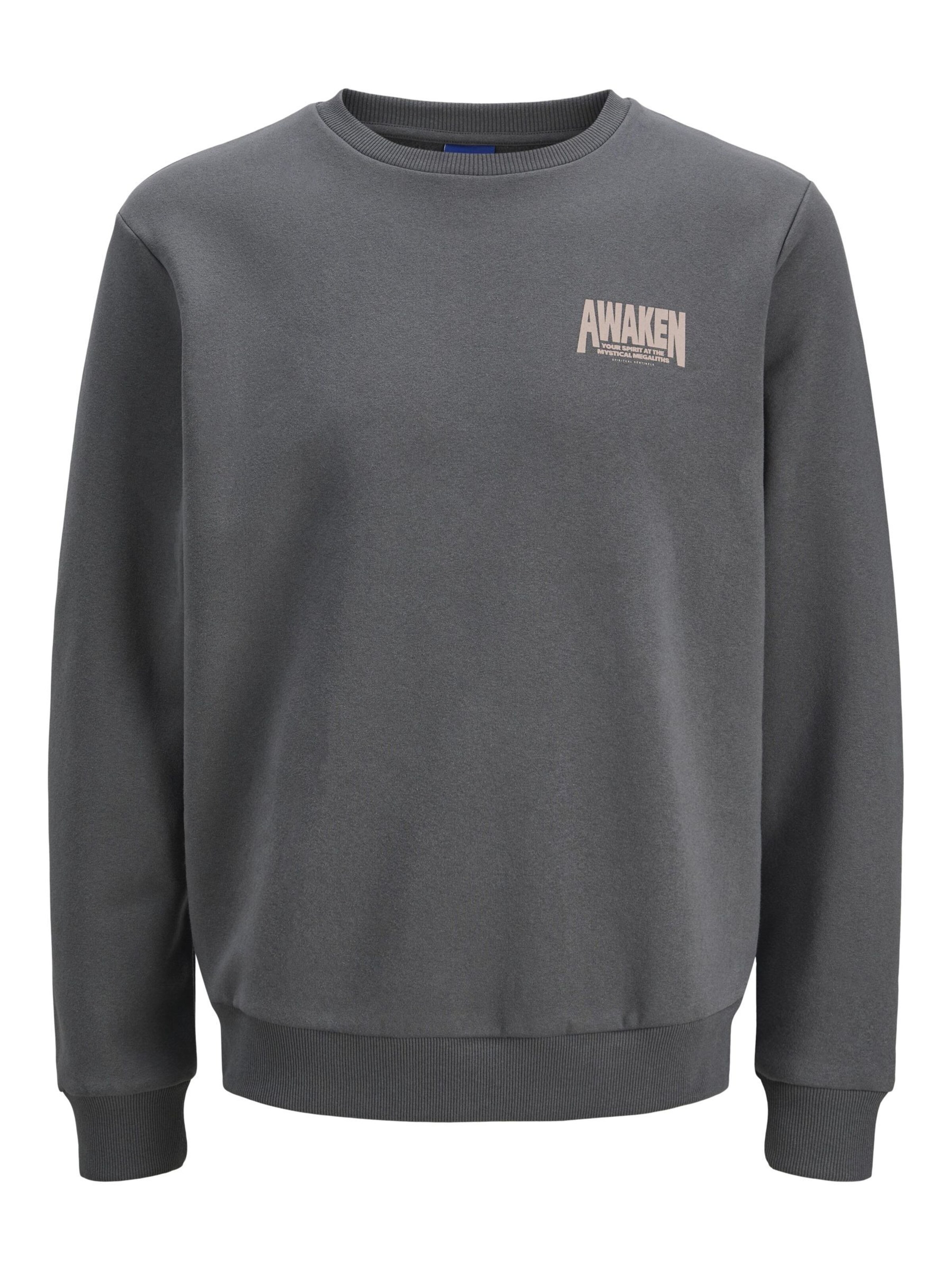JACK & JONES Sweatshirt i grå: forside