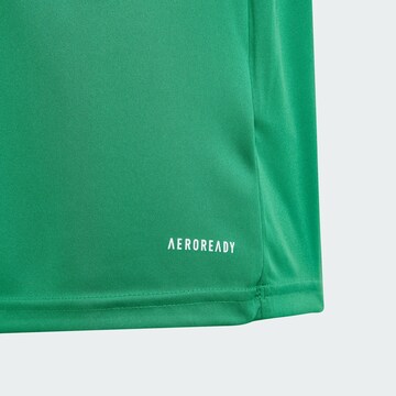 ADIDAS PERFORMANCE Performance shirt 'Fortore 23' in Green