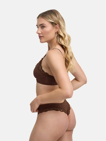 String 'Lace Tanga' cfab (formerly creamy fabrics) en marron