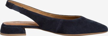 TAMARIS Ballet Flats with Strap in Blue