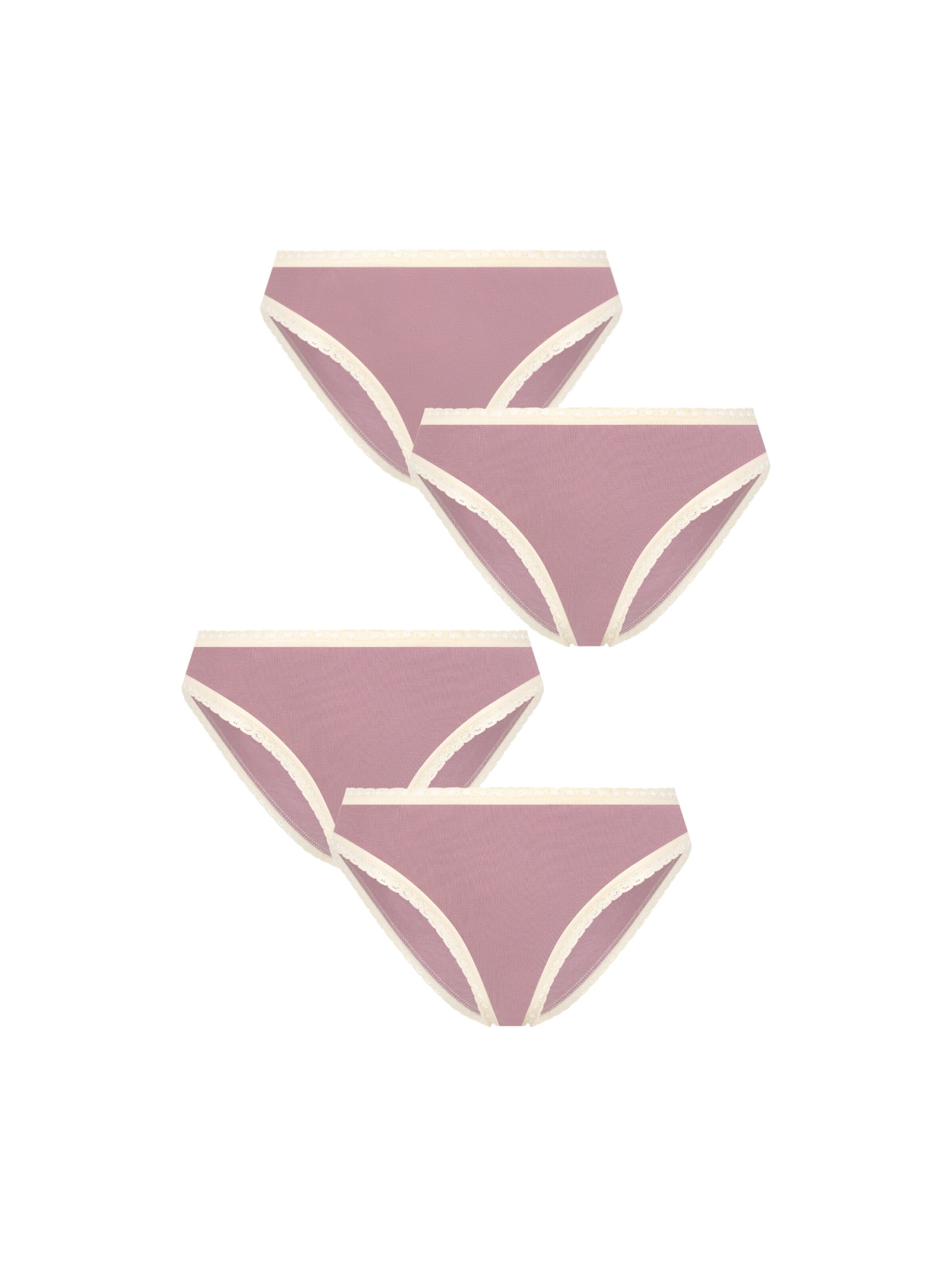 Albero Natur Panty 'Bio-Baumwoll-Slip mit Spitze – 4er Pack' in Purple: front