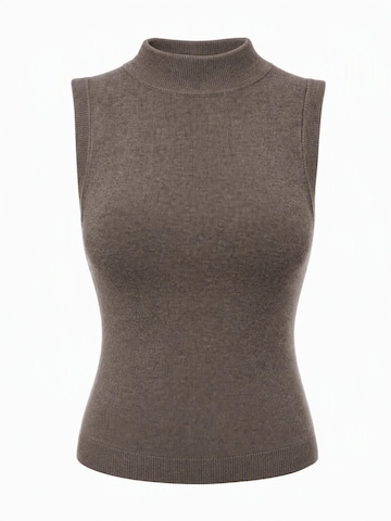 ARACH&CLOZ Knitted Top 'Tanktop Damen Wolle Blend Ärmellos Pullover Freizeit Business Oberteile' in Brown: front