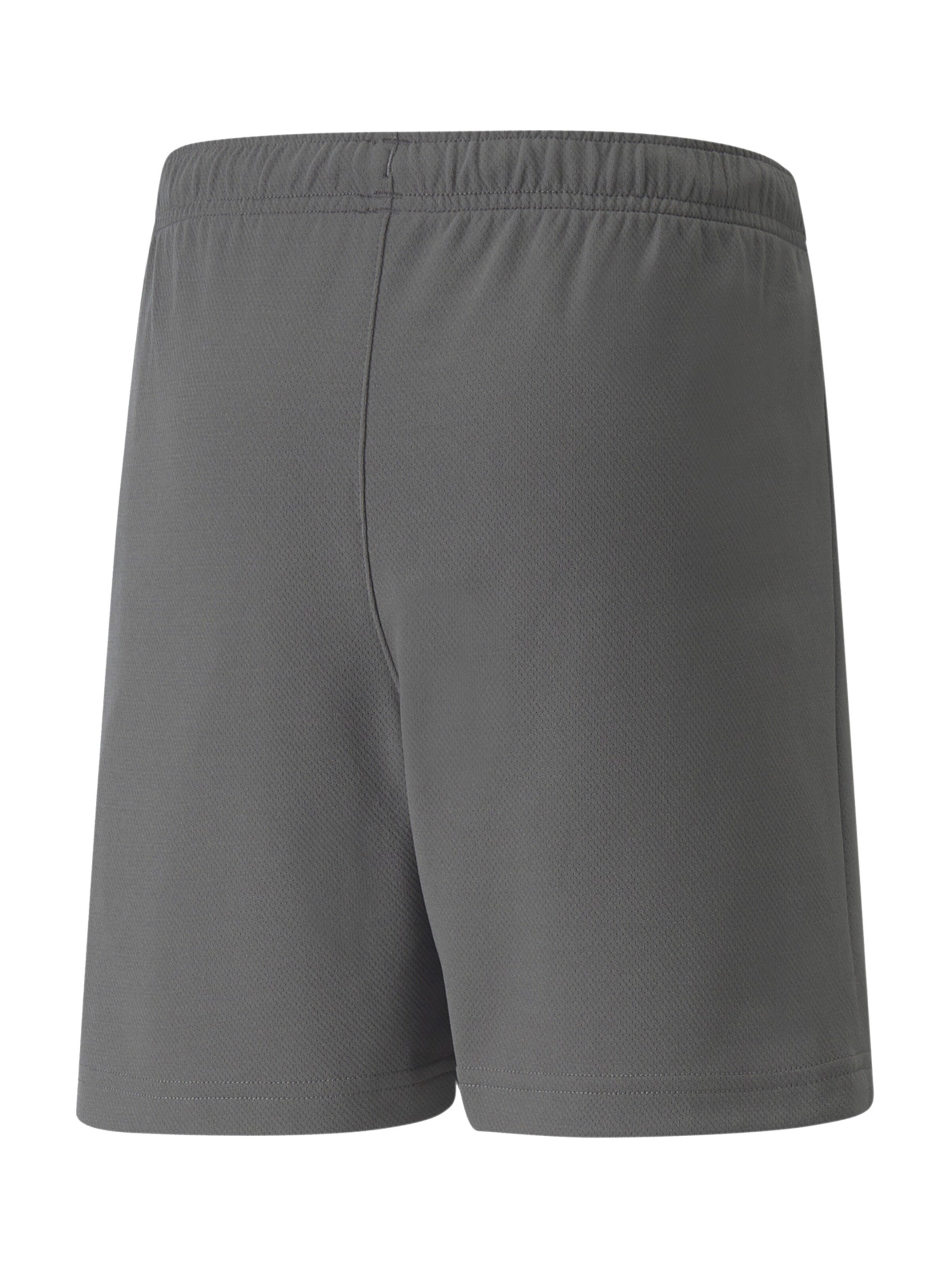 PUMA Regular Workout Pants 'TeamRise' in Grey