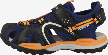 GEOX Open schoenen 'Borealis' in Blauw