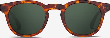 TWIG Concept Milano Sonnenbrille 'Verne' in Braun: Vorderseite
