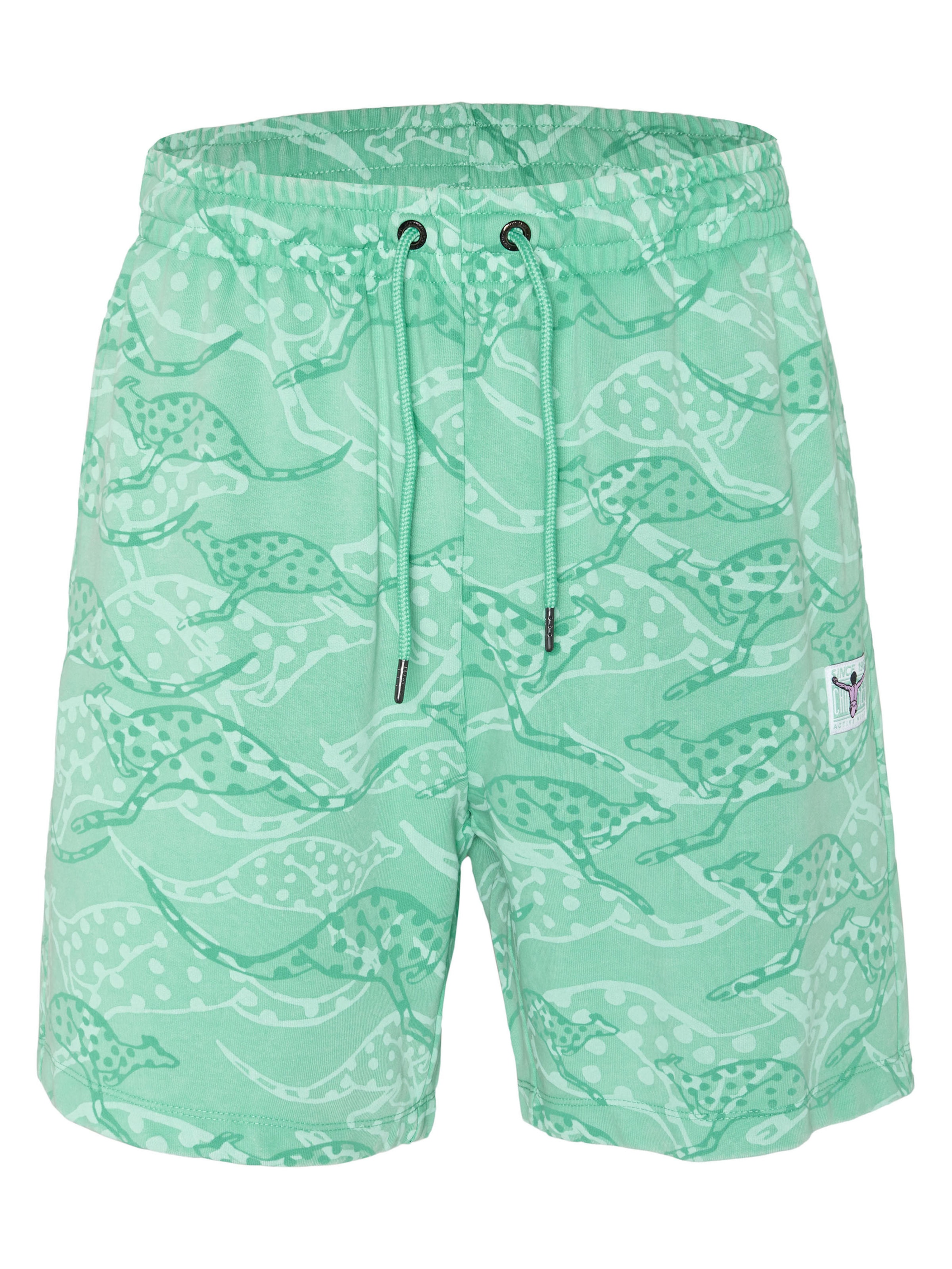 CHIEMSEE Loose fit Pants in Green: front