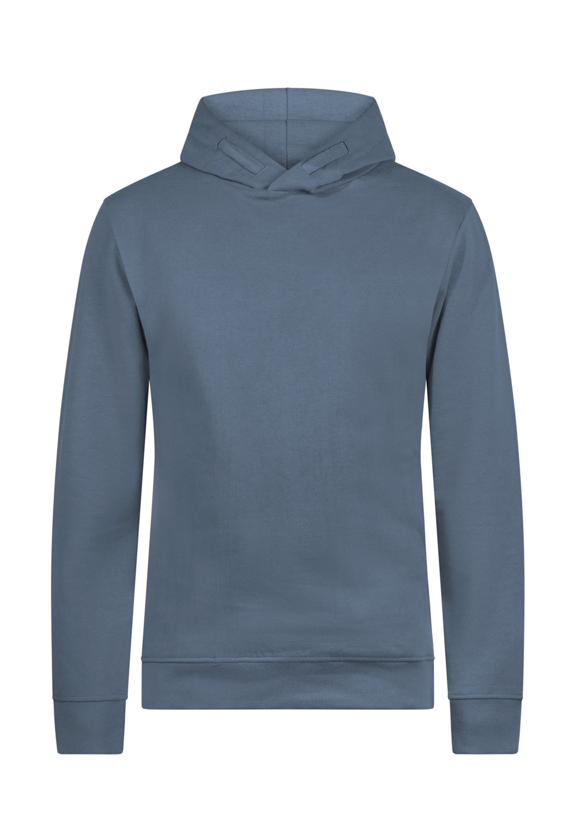 GREENBOMB Sweatshirt in Blauw: voorkant