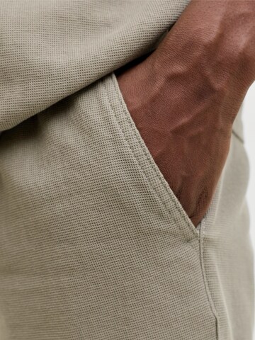 JACK & JONES Normální Kalhoty 'JPSTJAIDEN' – zelená