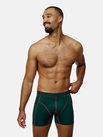 Sous-vêtements de sport 'Sport Trunks' DANISH ENDURANCE en mélange de couleurs : devant