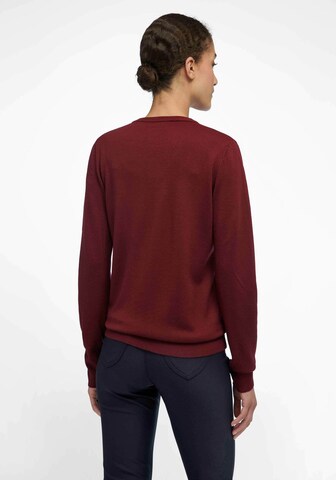 Peter Hahn Pullover in Rot