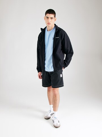 ADIDAS ORIGINALS Футболка 'Adicolor' в Синий
