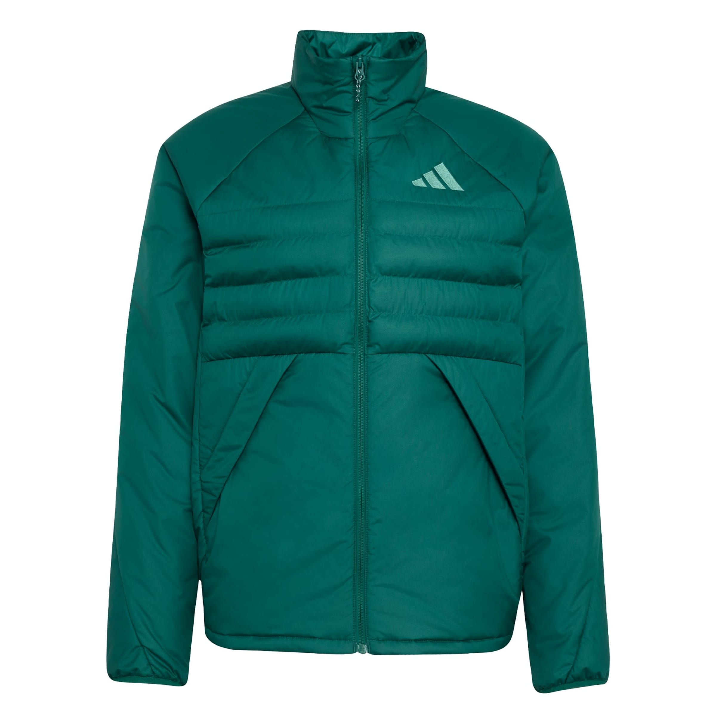 Giacca per outdoor 'Multi' di ADIDAS TERREX in verde: frontale