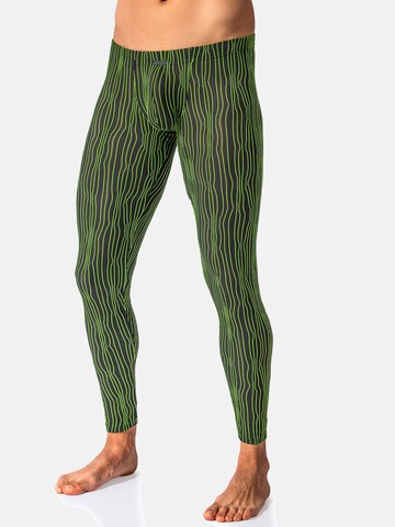 Manstore Long underpants ' M2615 Long Johns ' in Green: front