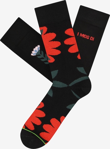 CHEERIO* Socks 'Beauty' in Black: front