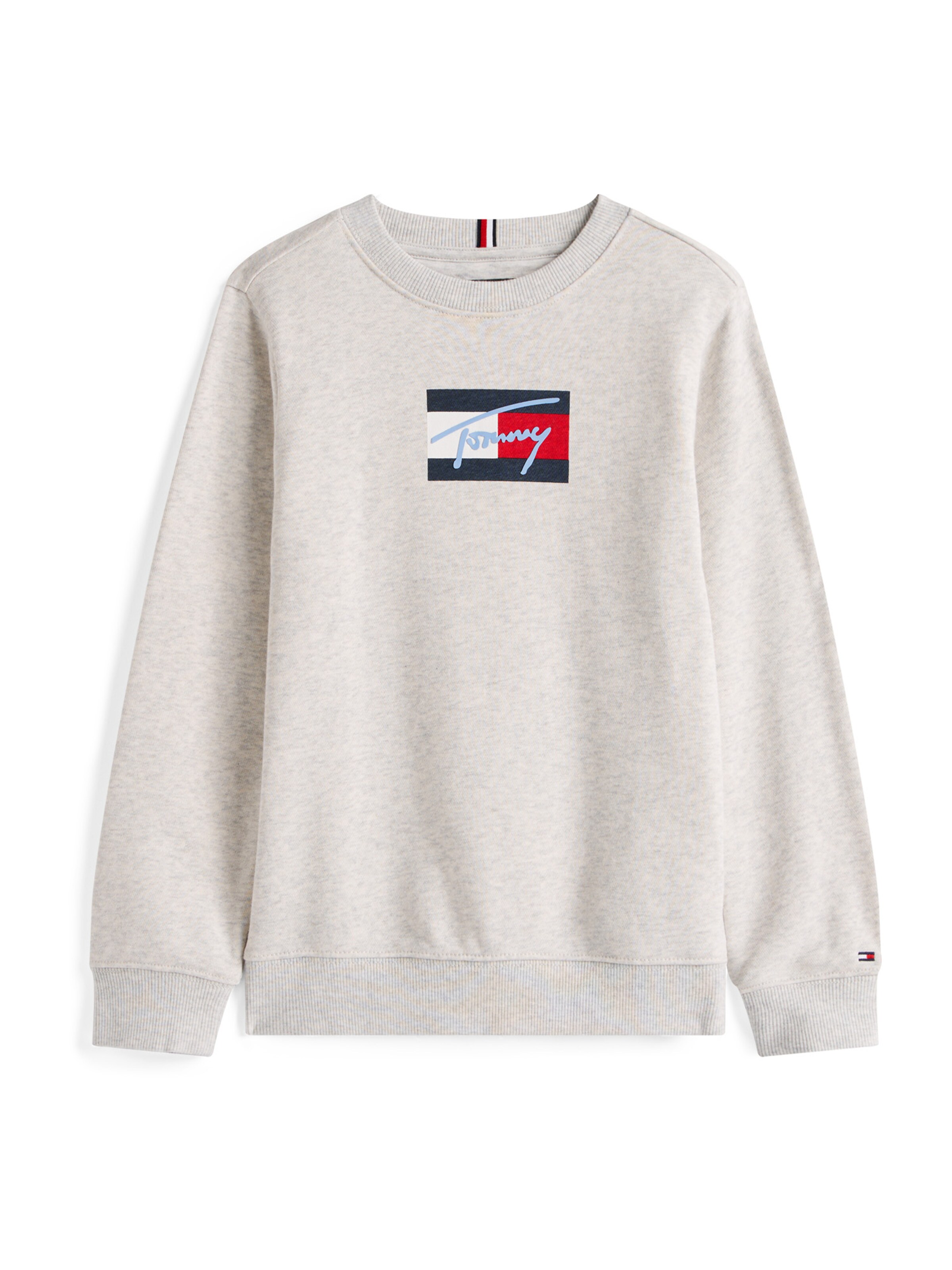 TOMMY HILFIGER Sweatshirt in Grey: front