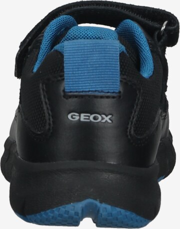 GEOX Sneaker in Schwarz