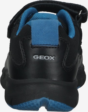 GEOX Sneakers in Zwart