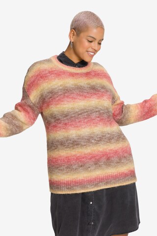 Studio Untold Sweater in Mixed colors: front