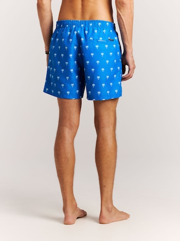 PROTEST Board Shorts 'PRTMascot' in Blue