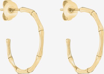 TAMARIS Earrings in Gold: front