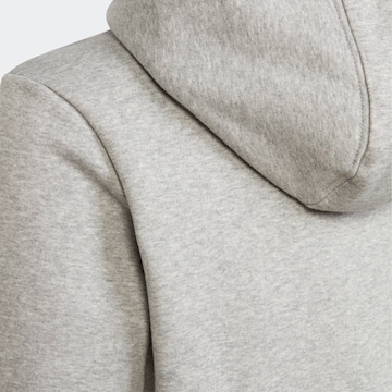 ADIDAS ORIGINALS Hoodie 'Adicolor' in Grau