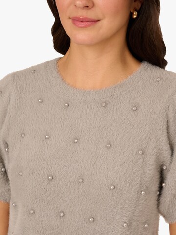 Adrianna Papell Pullover in Grau