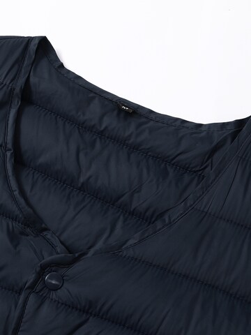 ALLTHEMEN Vest 'Stichlinie' in Blue
