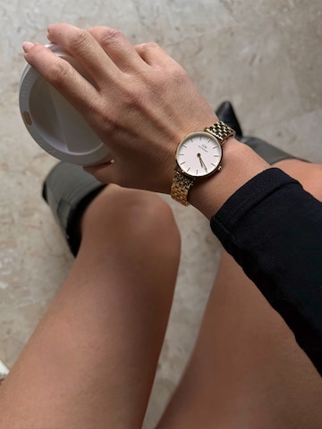 Daniel Wellington Uhr in Gold