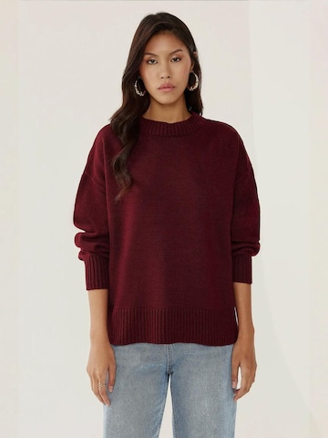 Hiccup Sweter w kolorze czerwony