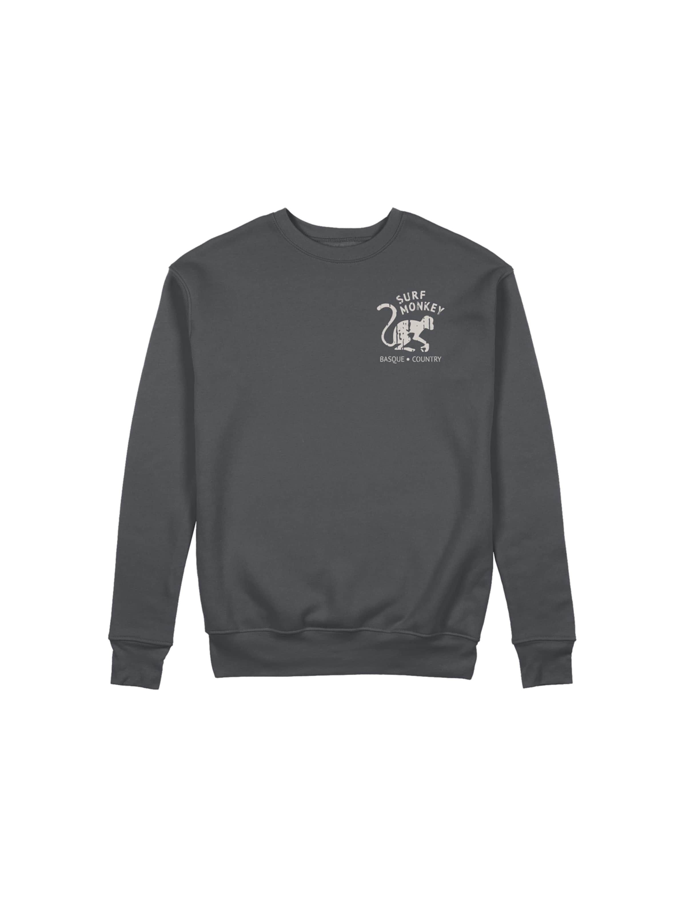 Sweat-shirt Surf Monkey en gris : devant
