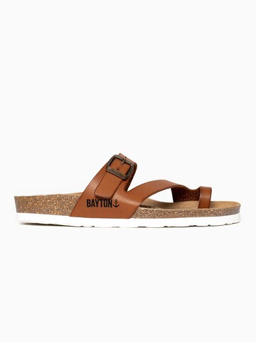 Bayton Mules 'Biscaye' in Brown