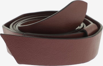 Dorothee Schumacher Belt in One size in Red: front