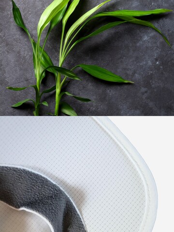 SWORTS Athletic Cap 'Speed' in White