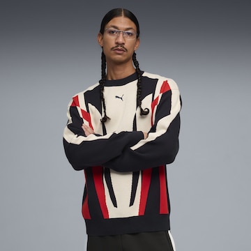 PUMA Pullover in Mischfarben: Vorderseite