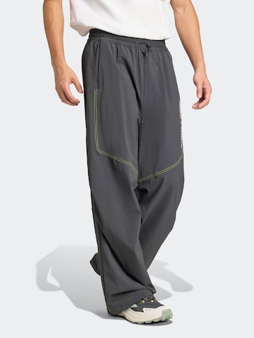 ADIDAS TERREX - Loosefit Pantalón de montaña 'National Geographic' en gris: frente