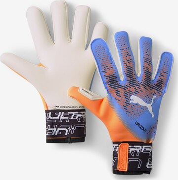 PUMA Athletic Gloves in Blue: front